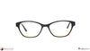 Stark Wood SW A10112 Brown Rectangle Full Rim Eyeglasses